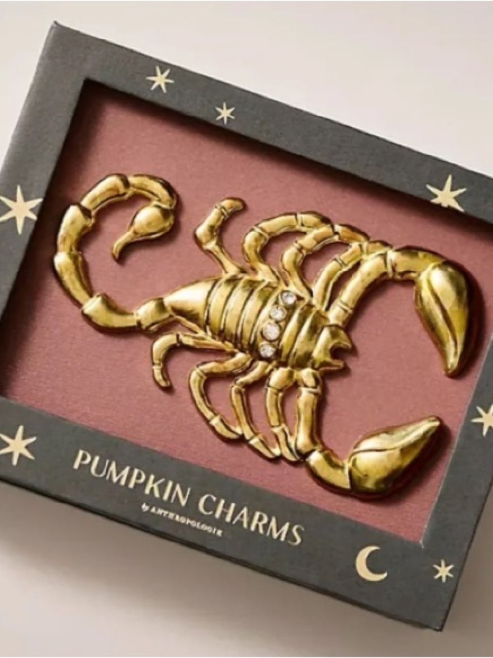 Anthropologie Pumpkin Charms Gold Scorpion Holiday Pillow Accent